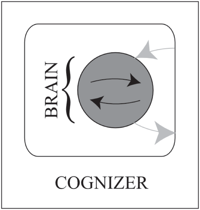 This diagram profiles cognition as two head-to-tail arrows within the circle that is the cognizer's brain.