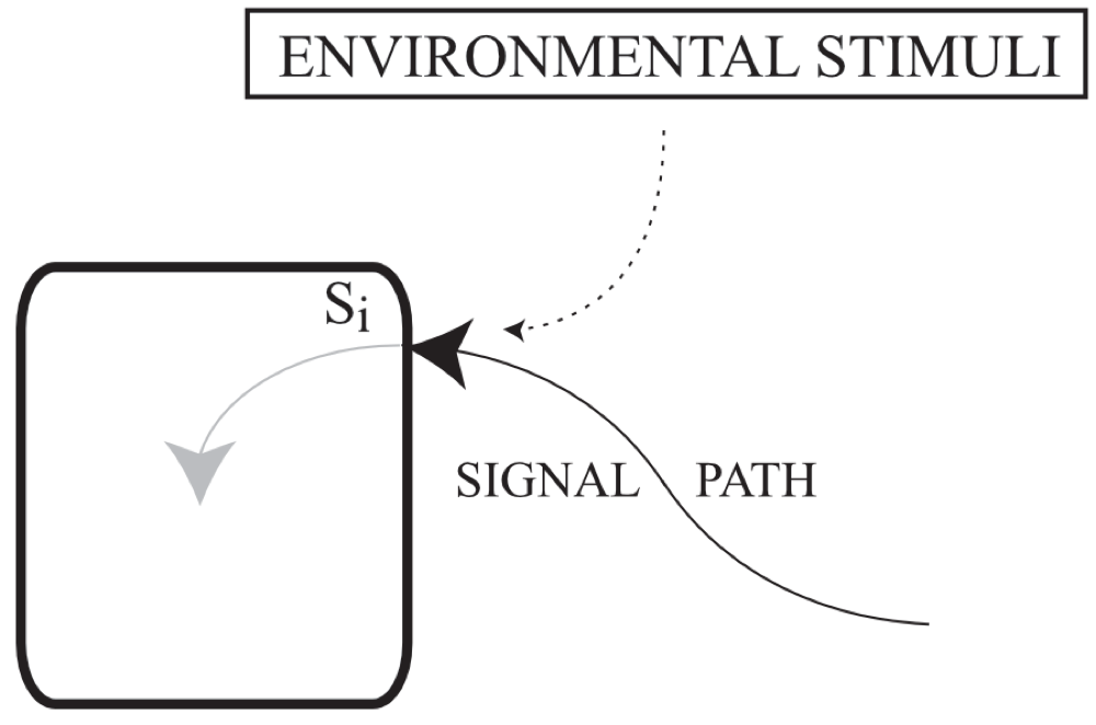 This is similar to the previous diagram, except that the arrows point towards the rectangle, which is the receiver of the information. A receiver is defined as an entity that absorbs both a signal and some noise from its environment.